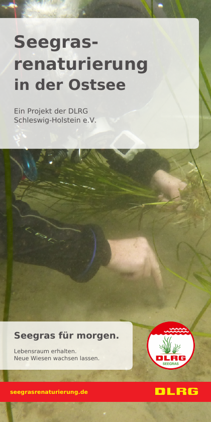 Titelseite des Projektflyers Seegrasrenaturierung mit Unterwasserfoto und rundem Projektlogo